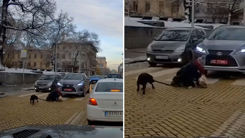 Шок: Дипломатическа кола блъсна майка с бебе на "зебра" в София, детенцето изхвърча на асфалта и... ВИДЕО