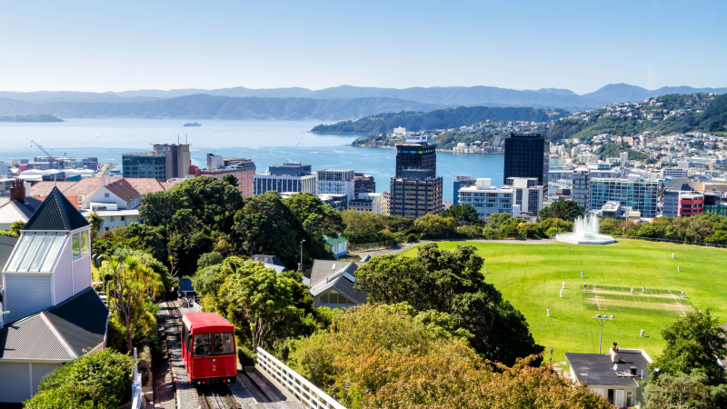Нова Зеландия въведе революционна доживотна забрана