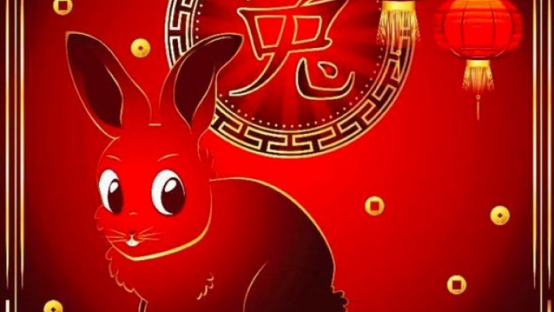 Годината на Водния заек: Каква ще бъде 2023 г. според китайския хороскоп