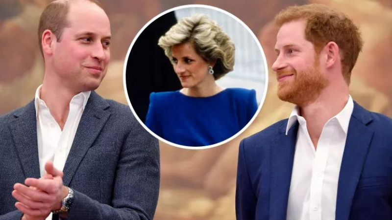Кралски експерт: Уилям никога няма да прости на Хари тази враждебна интрига с майка им СНИМКИ