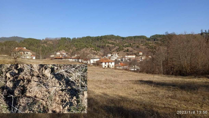 Селяни от Родопите на нокти, изгладнели зверове настъпват към домовете им