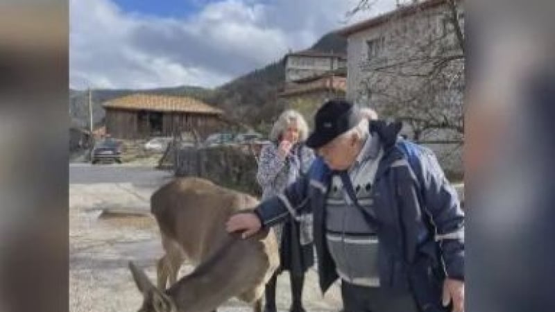 Красиво създание - хит в родопско село, яде вафли и дава да я галят СНИМКИ