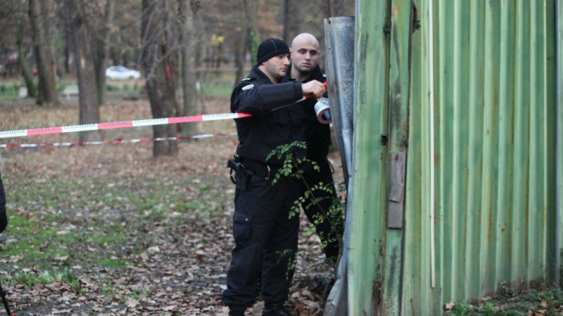 Простреляха млада жена посред бял ден в Градския парк на Ботевград