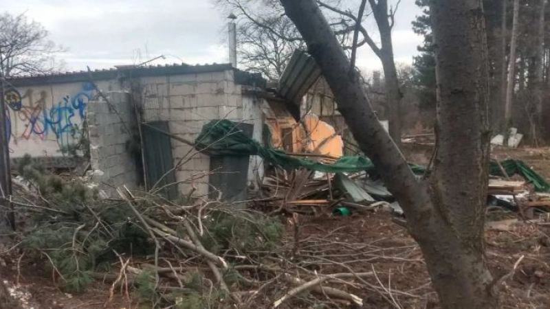 Шефът на СОС подпука Трайчо Трайков и собствениците на имота заради сечта в Борисовата градина СНИМКИ