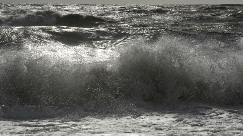 Полудялото море направи голяма поразя в Обзор СНИМКА 