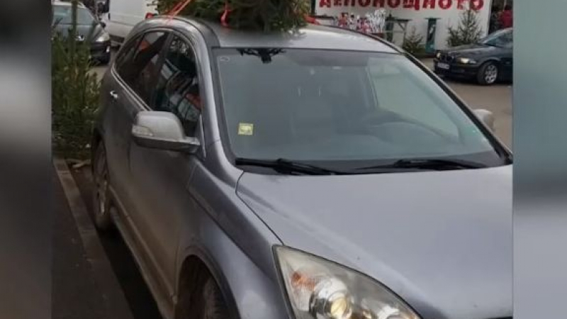 Пълен абсурд: Български шофьор кара законно крадена кола ВИДЕО