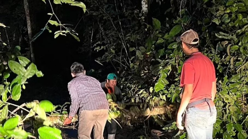 Без храна сред зверовете: Мъж броди сам в най-страшната джунгла цял месец и оцеля ВИДЕО