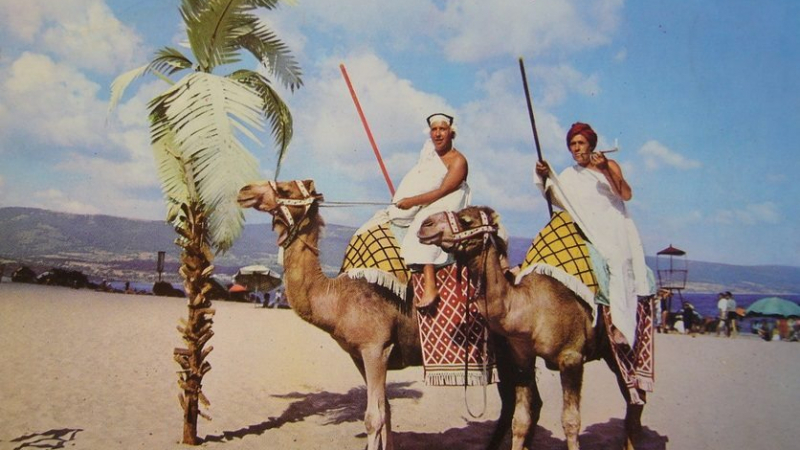 Спомени от соца: Когато по пътя Златни пясъци-Албена имаше палми, а на плажа – камили СНИМКИ 