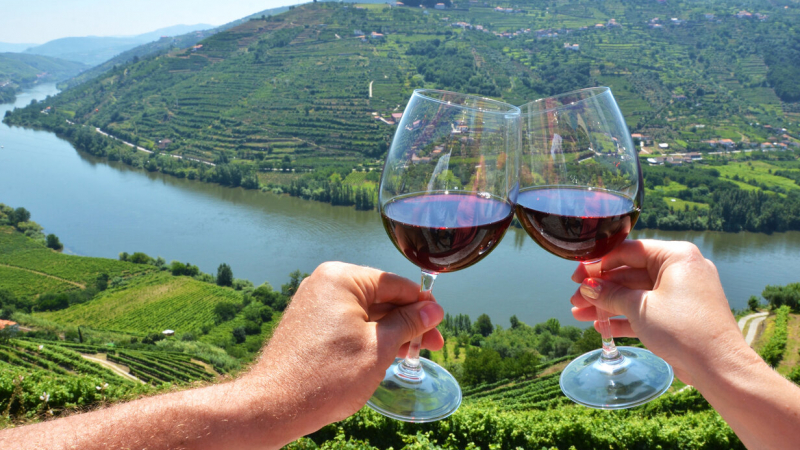 Пътешествие и хубаво вино? Тези страни предлагат най-достъпния алкохолен туризъм
