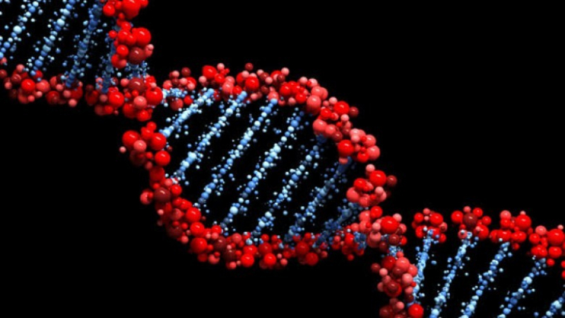 Как тестовете за К-19 причиняват генно-токсични промени в ДНК чрез веществото Triton X‑100