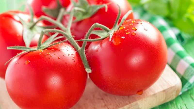 Казаха истината: Ето кога за първи път ще ядем български домати тази година