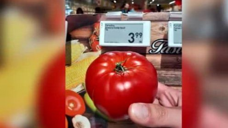 4 лв. за един домат в хипермаркетите, а на пазарите...ВИДЕО