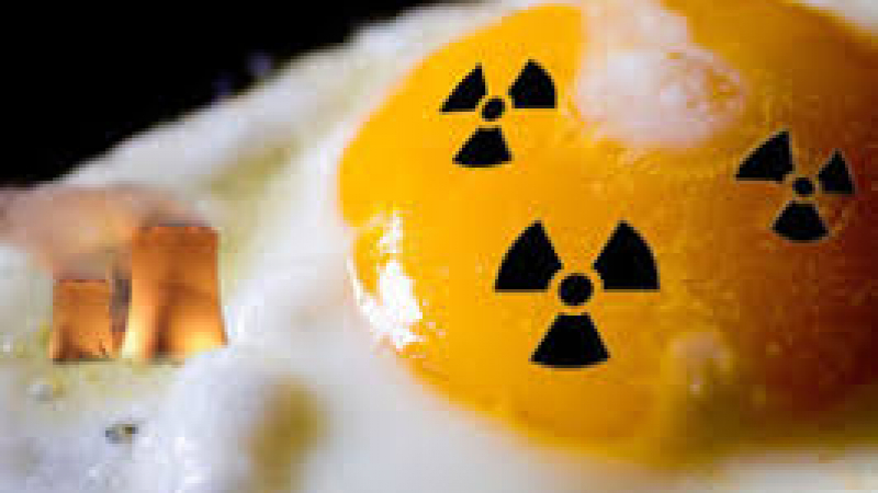 Над 2,6 милиона украинските яйца у нас са радиоактивни? Истината лъсва скоро