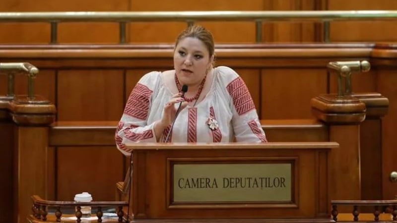 Румънска сенаторка внесе проектозакон за анексирането на редица райони от Украйна 