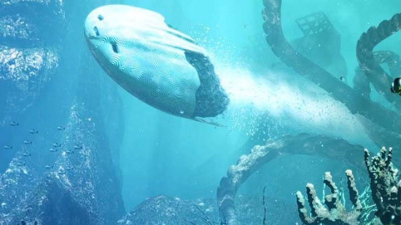 Неидентифициран подводен обект бе заснет във водите на Мексиканския залив ВИДЕО