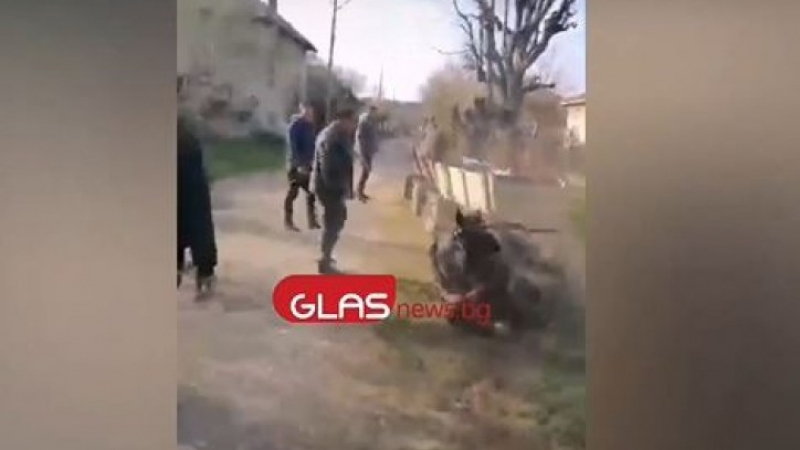 Диващина във Врачанско: Роми измъчват жестоко коне, като ги заставят с бой да... ВИДЕО