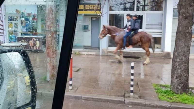 Софийски каубой кръстосват столицата за чудо и приказ, никой не ги закача СНИМКА 