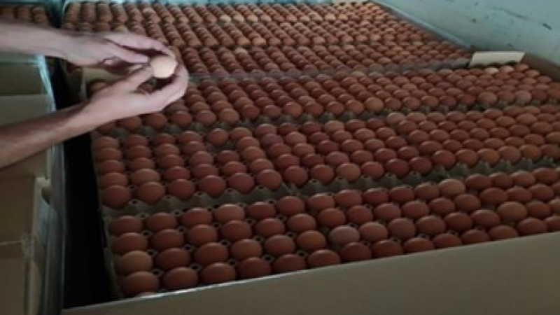 Гърция спря хиляди яйца от България за столицата и 2 острова