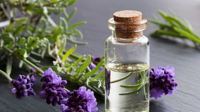 6 етерични масла могат да излекуват всеки орган
