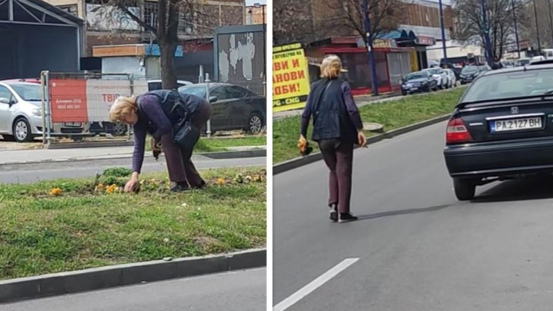 Срамна постъпка на жена в Пазарджик разгневи мрежата ВИДЕО