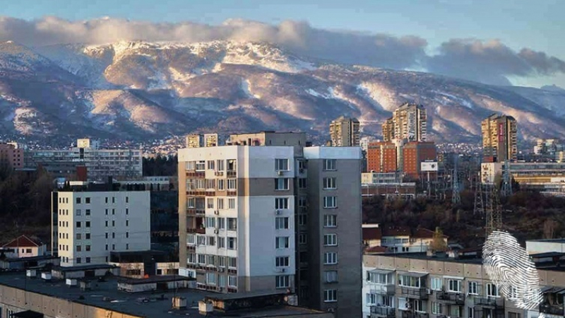 Столичани пропищяха от опасна напаст, плъзнала между блоковете СНИМКА  