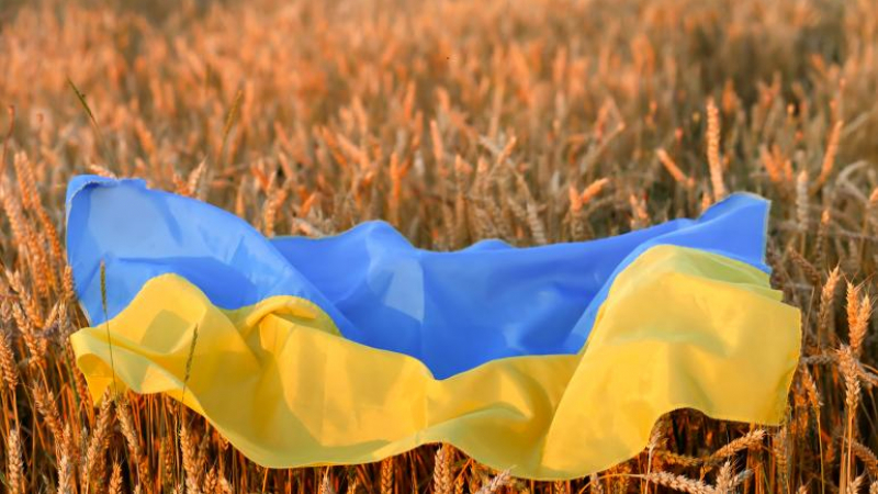 Лъсна истината внасяме ли отровна пшеница от Украйна 