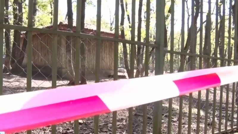 Вандали втрещиха с просташка дивотия в хасковския зоопарк ВИДЕО