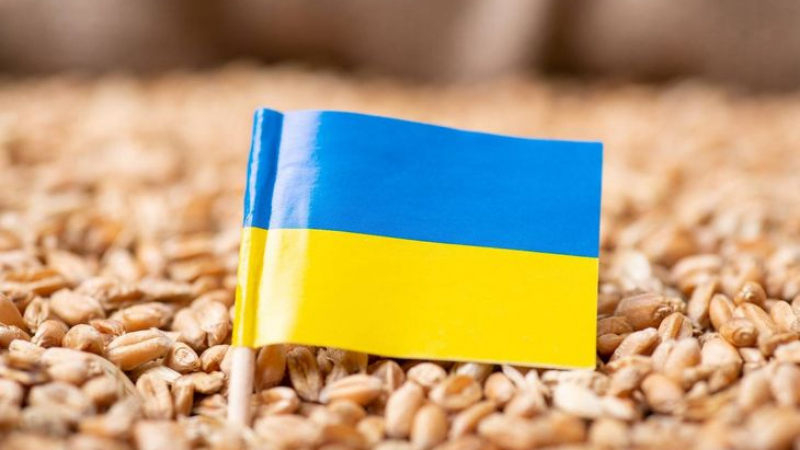Полша взе важно решение за украинското зърно 