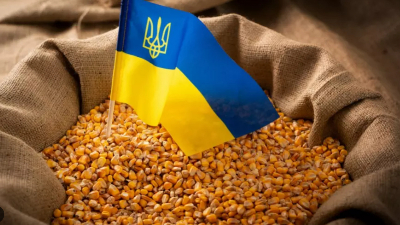 България и тези страни искат корекция на забраната на вноса на храни от Украйна