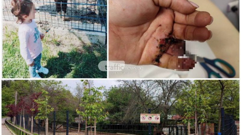 Писъци и кръв в зоопарка: Неочакван звяр откъсна пръсти на бременна пловдивчанка СНИМКИ 18+