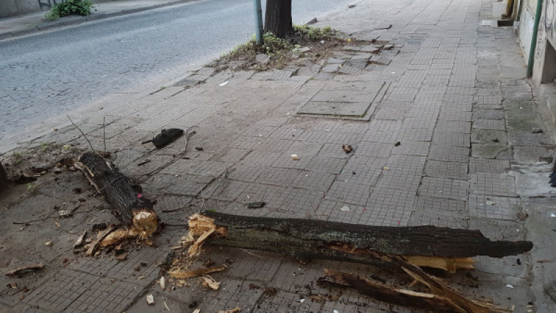 Мъж  видя таз сцена в Пловдив и само отрони: На косъм от смъртта СНИМКИ