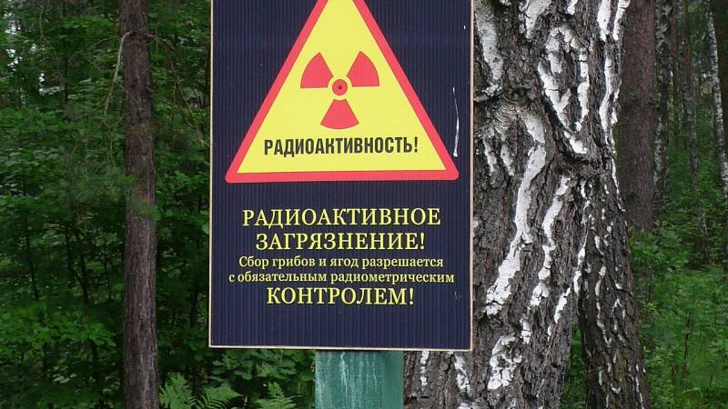 Румънски сенатор: След експлозията в Хмелницки радиоактивен облак покри 400 км за два дни, най-много пострада... ВИДЕО