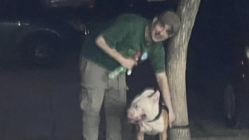 Изверг: Пловдивчанин насъсква кучето си да убива, след него има кървава диря СНИМИ