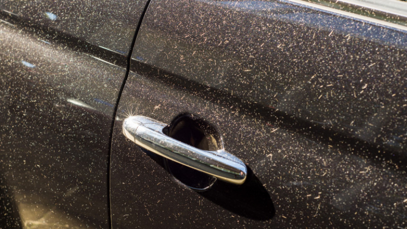 Експерти алармират: Измийте веднага колата си, случи ли се това