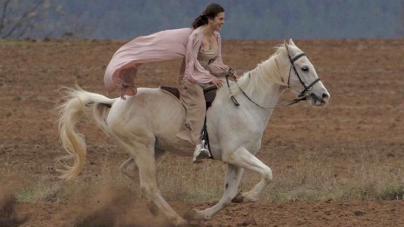 Конят Шифър хвърли ездачката си и изчезна край софийското село Равно поле СНИМКИ