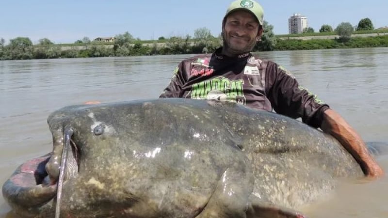 Рибар извади чудовище-рекордьор от река в Италия СНИМКИ 