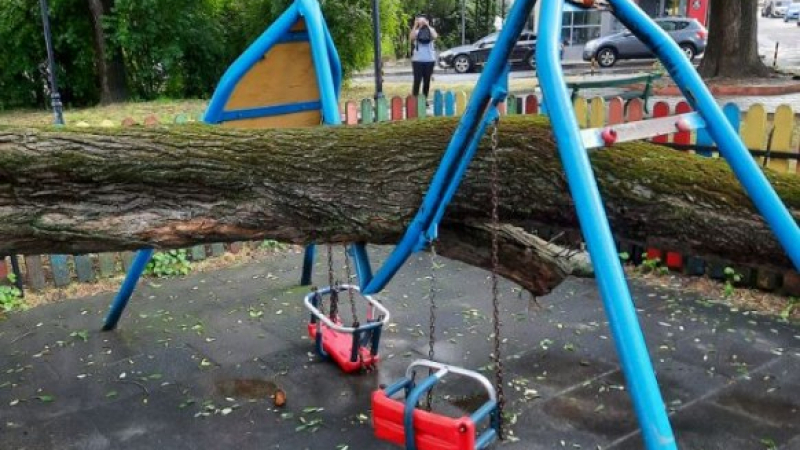 Неописуем ужас на детска площадка в Шумен СНИМКИ