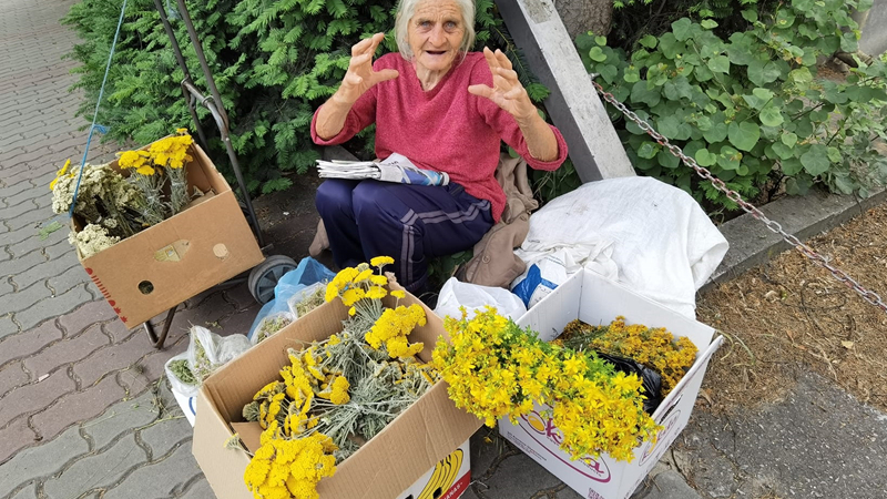 Всички в Търново знаят за баба Стефка, ето с какво покори сърцата им