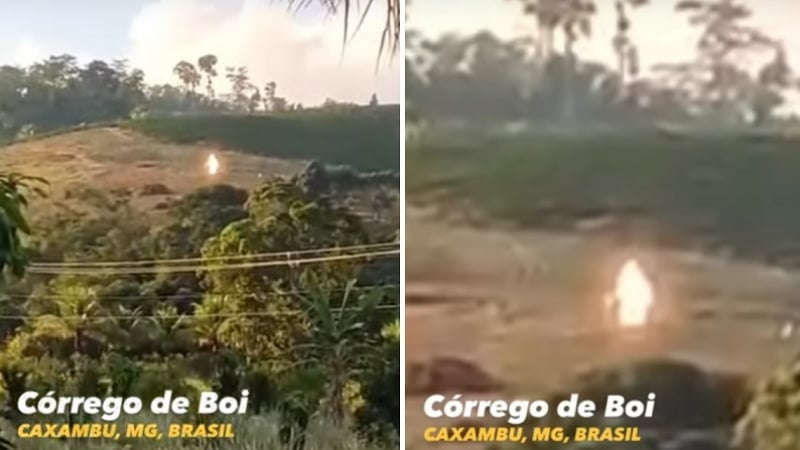 Мистериозно светещо същество бе заснето с камера в Бразилия ВИДЕО