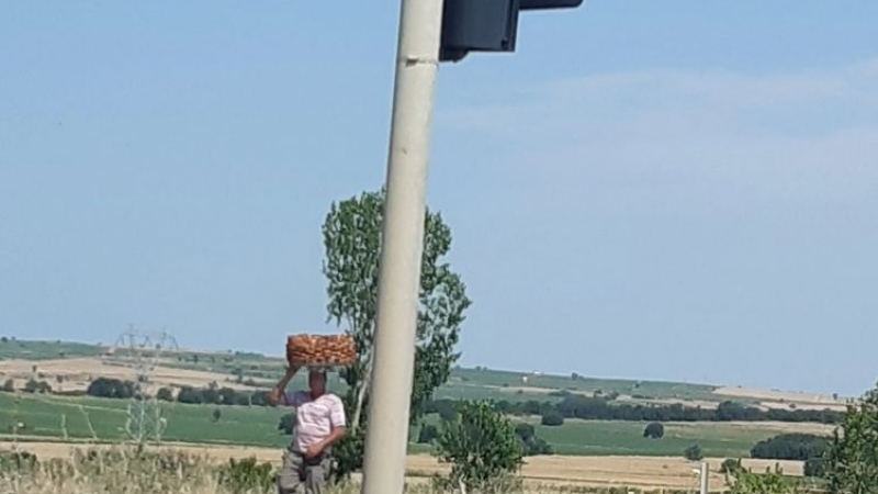 Известен роден журналист шофира из Турция и изпадна в потрес: Овца, фалшиви полицаи и малко криви сметки...