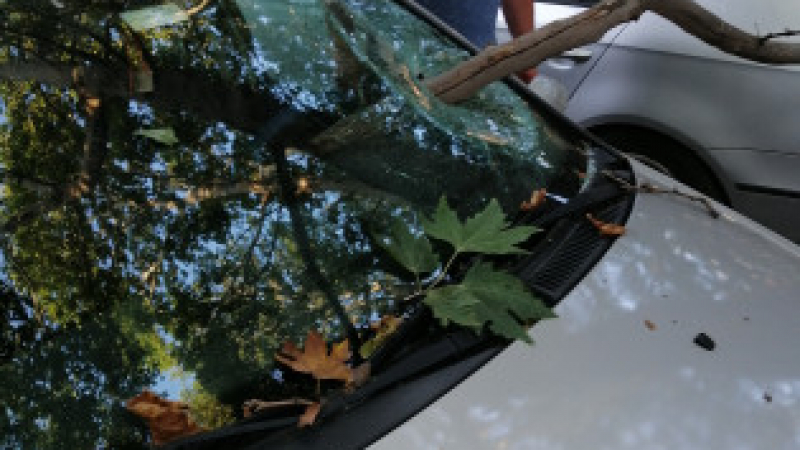 Пловдивчанка паркира колата си, а на следващата сутрин остана като гръмната от видяното СНИМКИ
