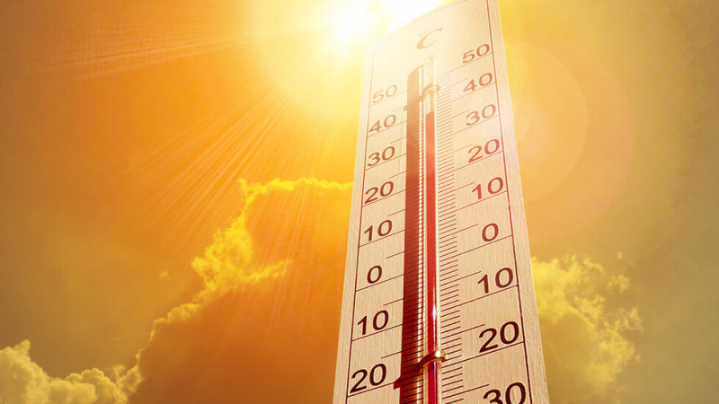 Рекордни жеги обхванаха Европа, експерти призовават за...