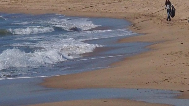 Гнусотия на плажа във Варна: Ето какво изхвърли морето СНИМКИ