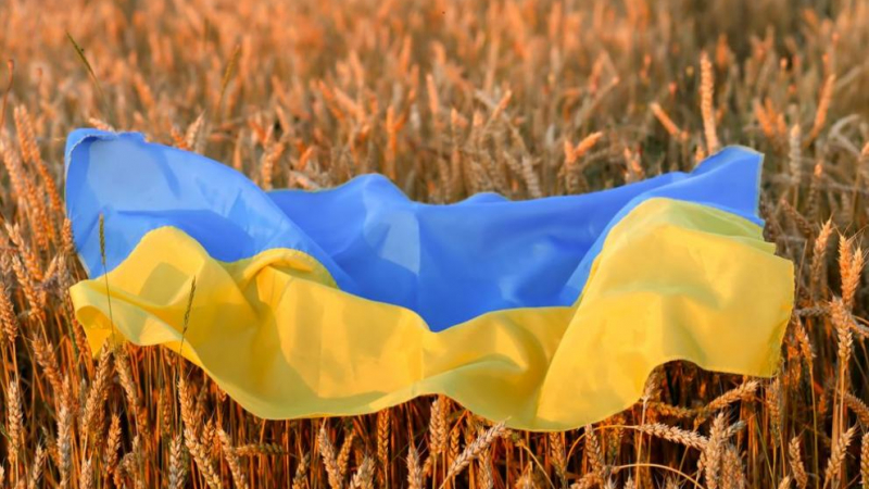От Белия дом предупредиха: Русия възнамерява да атакува кораби, превозващи зърно от Украйна