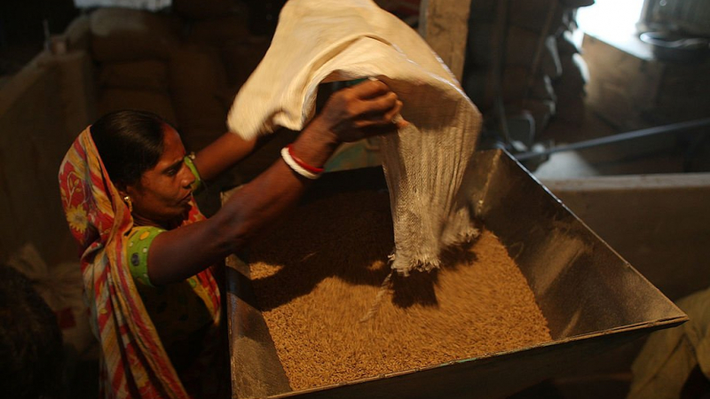 Световните пазари в шок: Индия забрани износа на ориз, настава световен глад