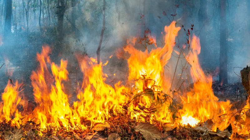 Огнен ад край първомайското село Буково