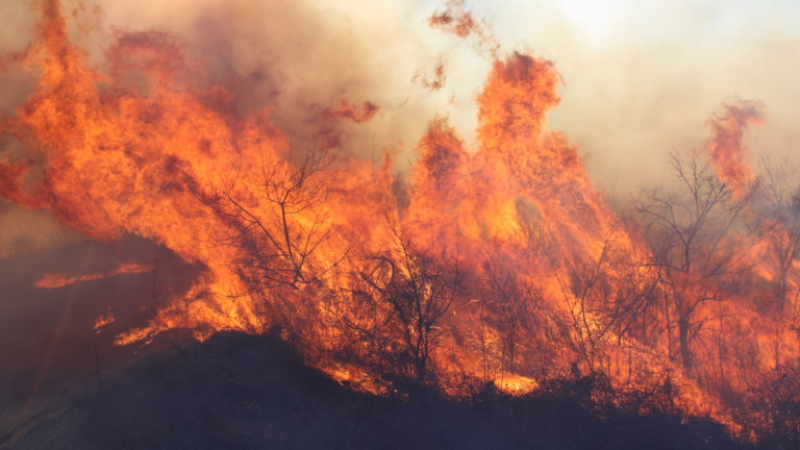 Огнен ад край Дупница: Хвърчат пожарни, какво се случва