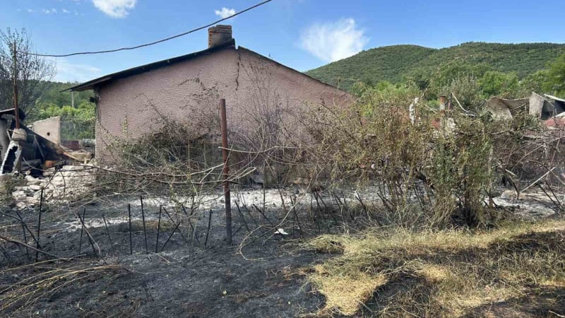 Истински огнен ужас във вилната зона край Хисаря СНИМКИ  