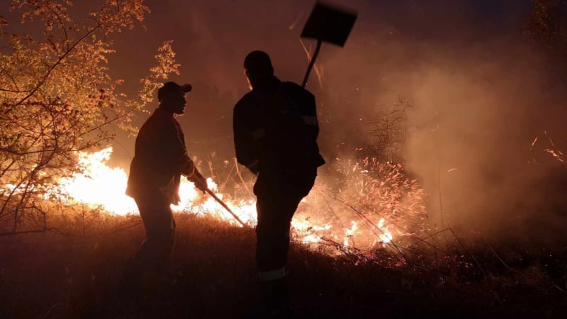От пожарната с последни новини за огнения ад в Пазарджишко