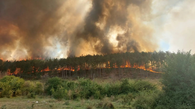 Огнен ад в община Гълъбово  